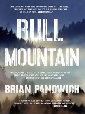 Bull Mountain - ebook